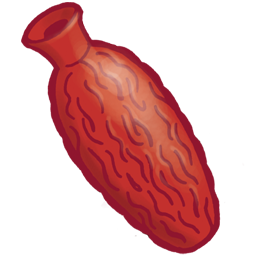 Date Bottle Icon 256x256 png